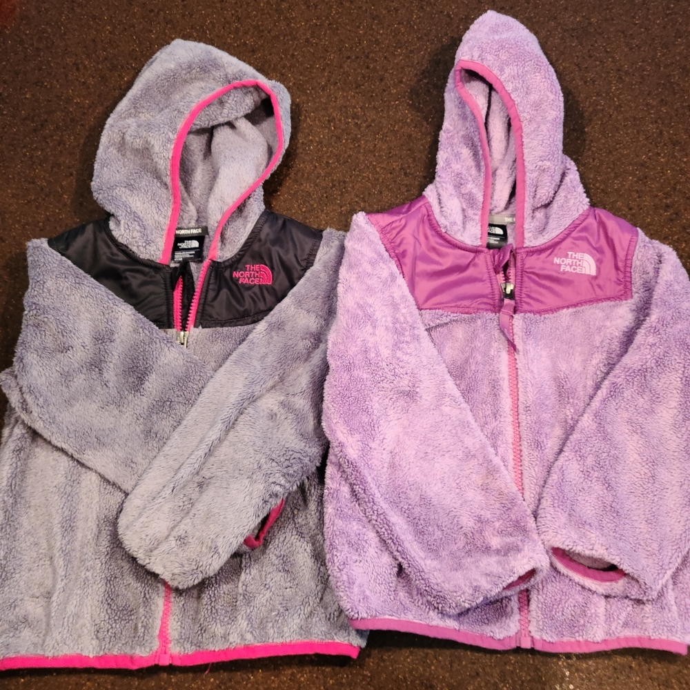 The north face
